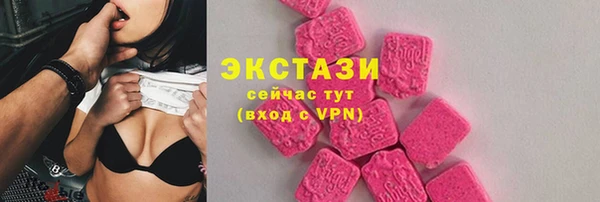 ECSTASY Богородицк